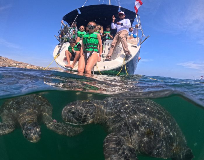 PASEO COSTERO + NADO CON TORTUGAS